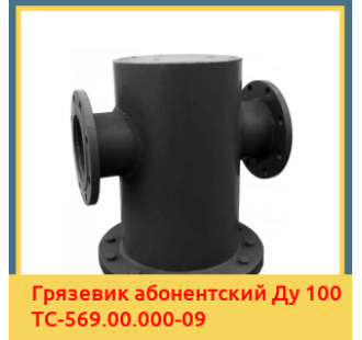 Грязевик абонентский Ду 100 ТС-569.00.000-09 в Кокшетау