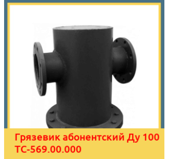 Грязевик абонентский Ду 100 ТС-569.00.000 в Кокшетау