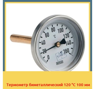 Термометр биметаллический 120 °С 100 мм в Кокшетау