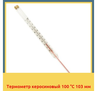 Термометр керосиновый 100 °С 103 мм в Кокшетау