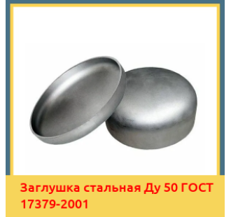 Заглушка стальная Ду 50 ГОСТ 17379-2001 в Кокшетау